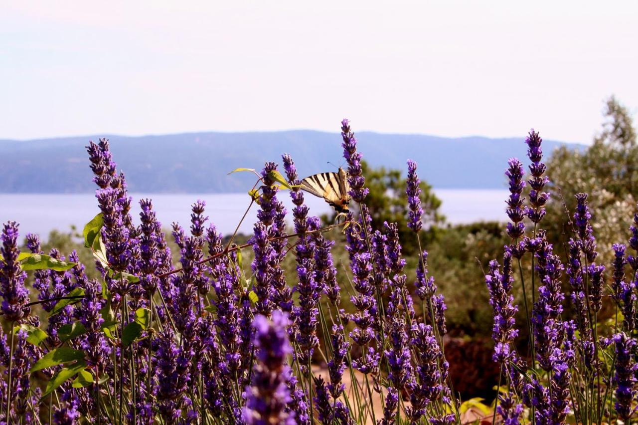 Boutique Agroturizam Sv. Juraj Bed & Breakfast Vrh (Krk)